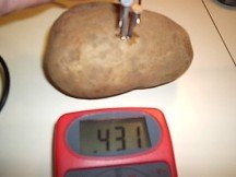 how long does a potato clock last