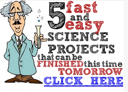 Five Fast and Easy Science Projects